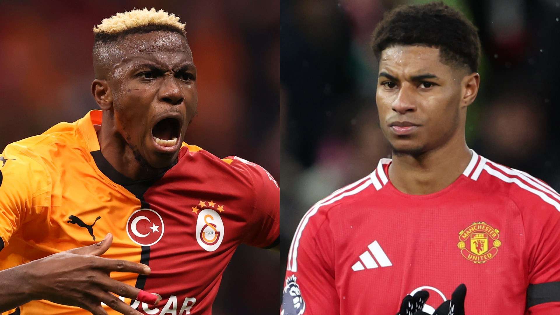 但他们的拼 但他们的拼